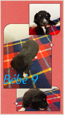 Bébé 9