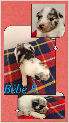 Bébé 8