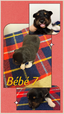 Bébé 7