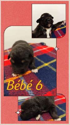 Bébé 6