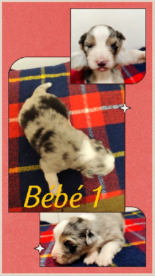 Bébé 1