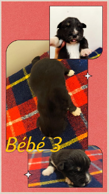 Bébé 3